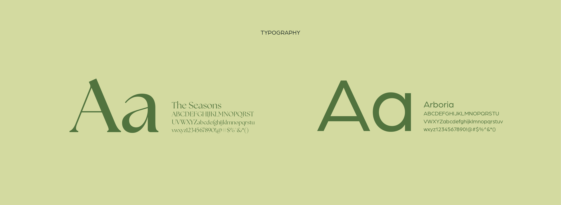 A typography guide featuring two font styles (serif and sans-serif) labeled 
