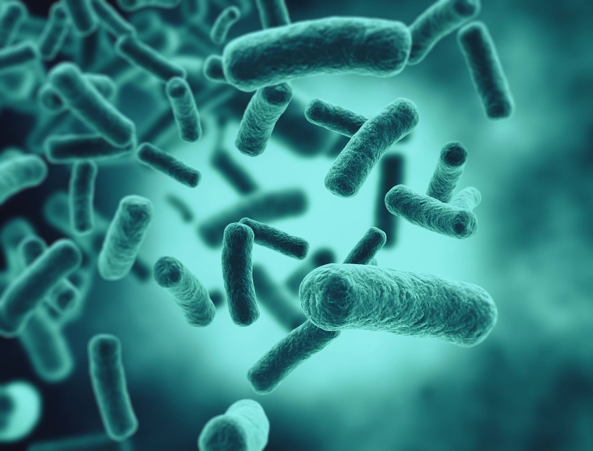 A computer generated image of bacteria under a microscope.