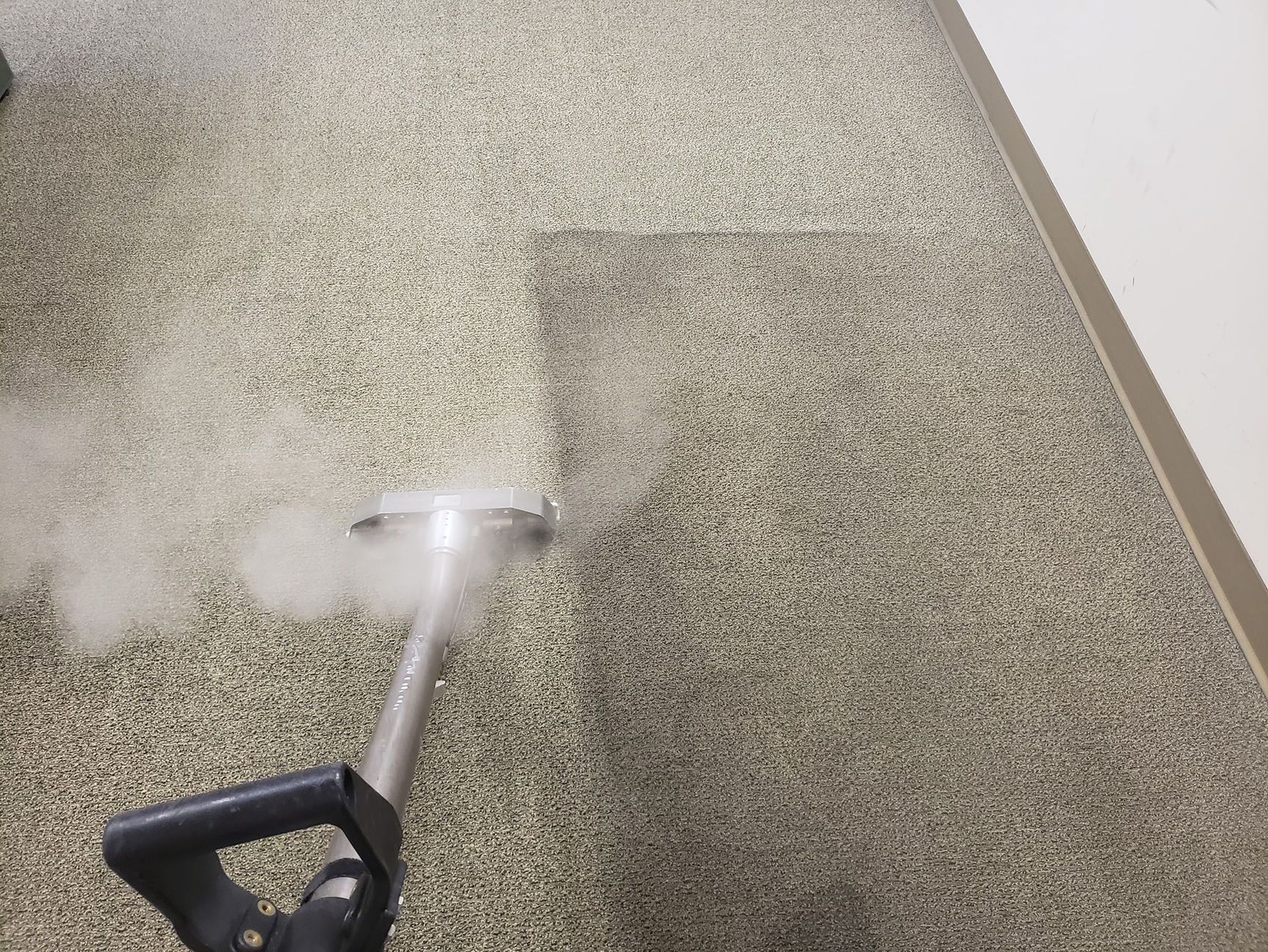 Tropical Breeze Carpet Cleaning carpet