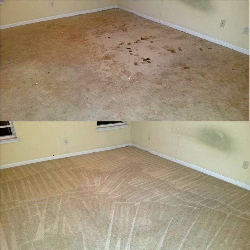 Tropical Breeze Carpet Cleaning gallery