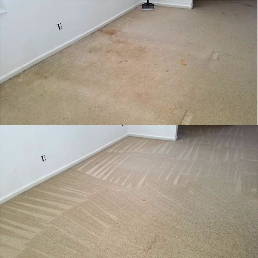 Tropical Breeze Carpet Cleaning gallery