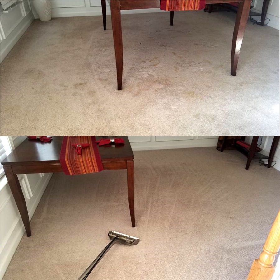 Tropical Breeze Carpet Cleaning gallery