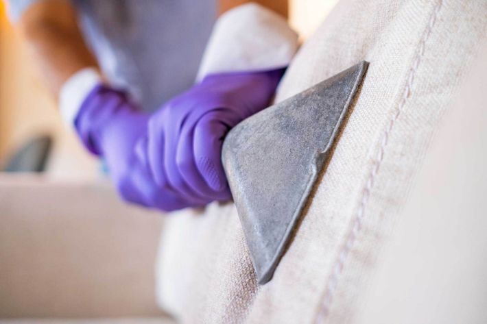 Carpet cleaning — Hillsborough, NC — A Step Ahead