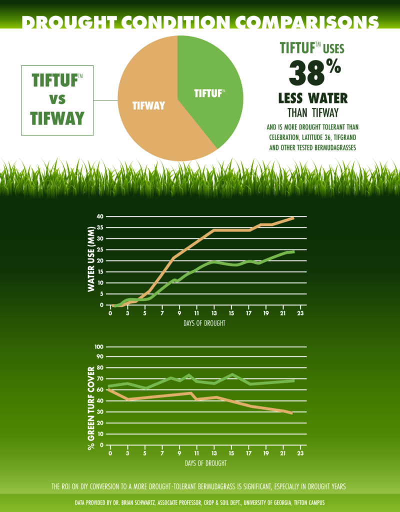 Infographic comparing drought conditions: Tiftuf vs. Tifway. Tiftuf uses 38% less water, shown with charts.