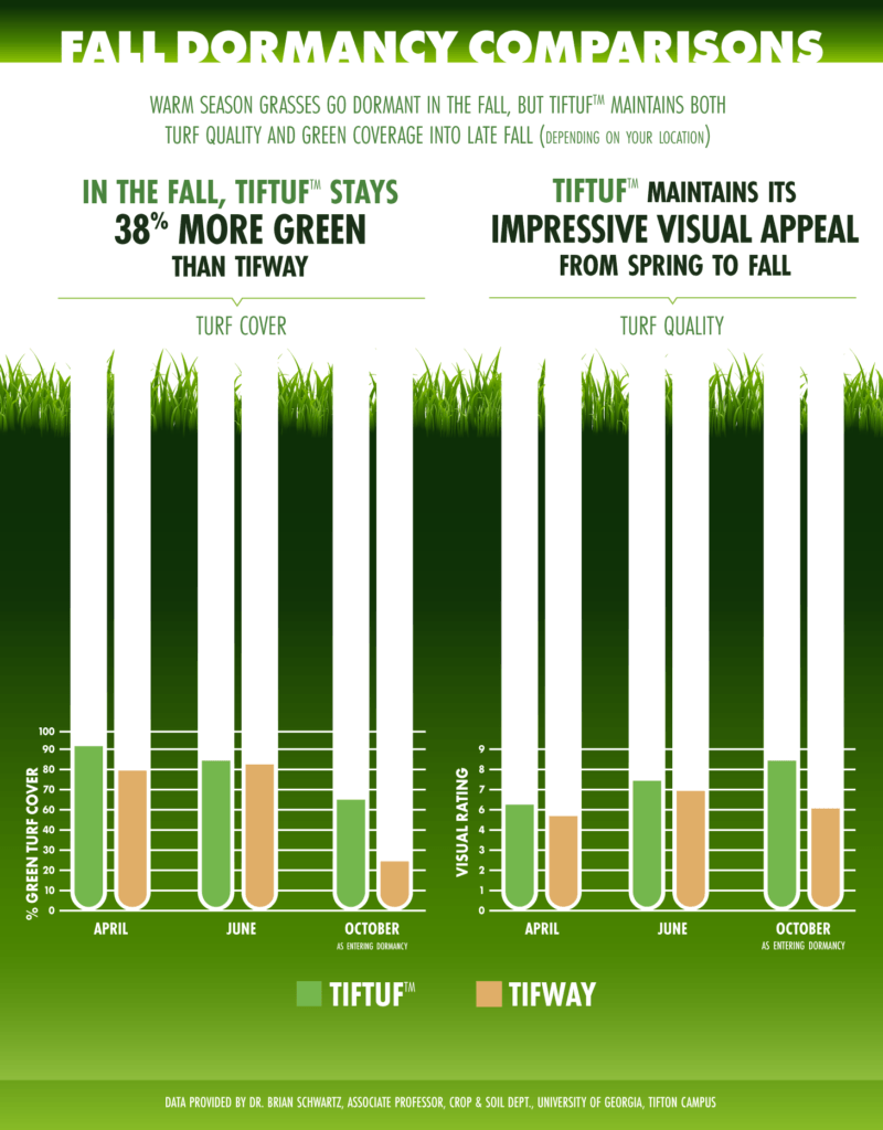 Comparison chart: Tiftuf grass stays 38% more green than Tifway in the fall. Visual appeal maintained from spring to fall.