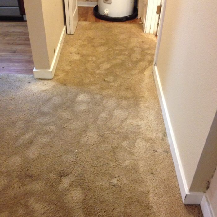 Narrow beige carpeted hallway with white walls and a laundry hamper at the end