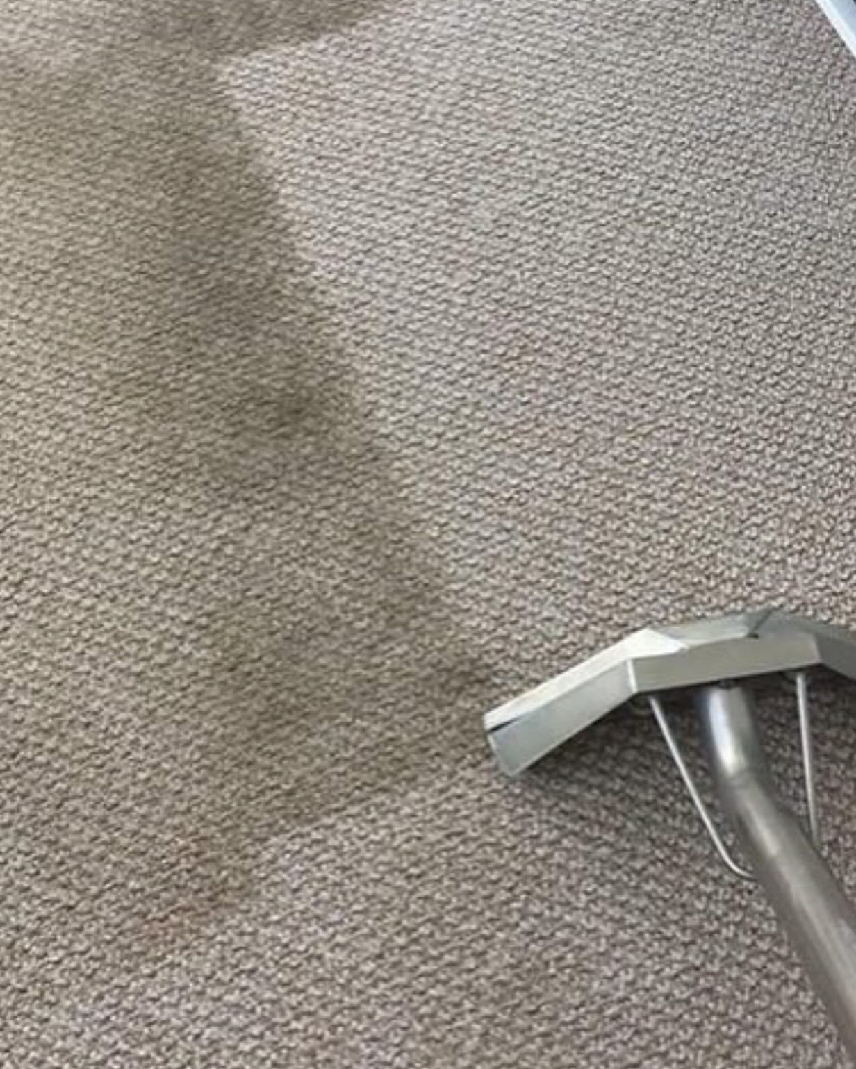 Carpet being cleaned with a vacuum hose, showing a darker stain on the surface