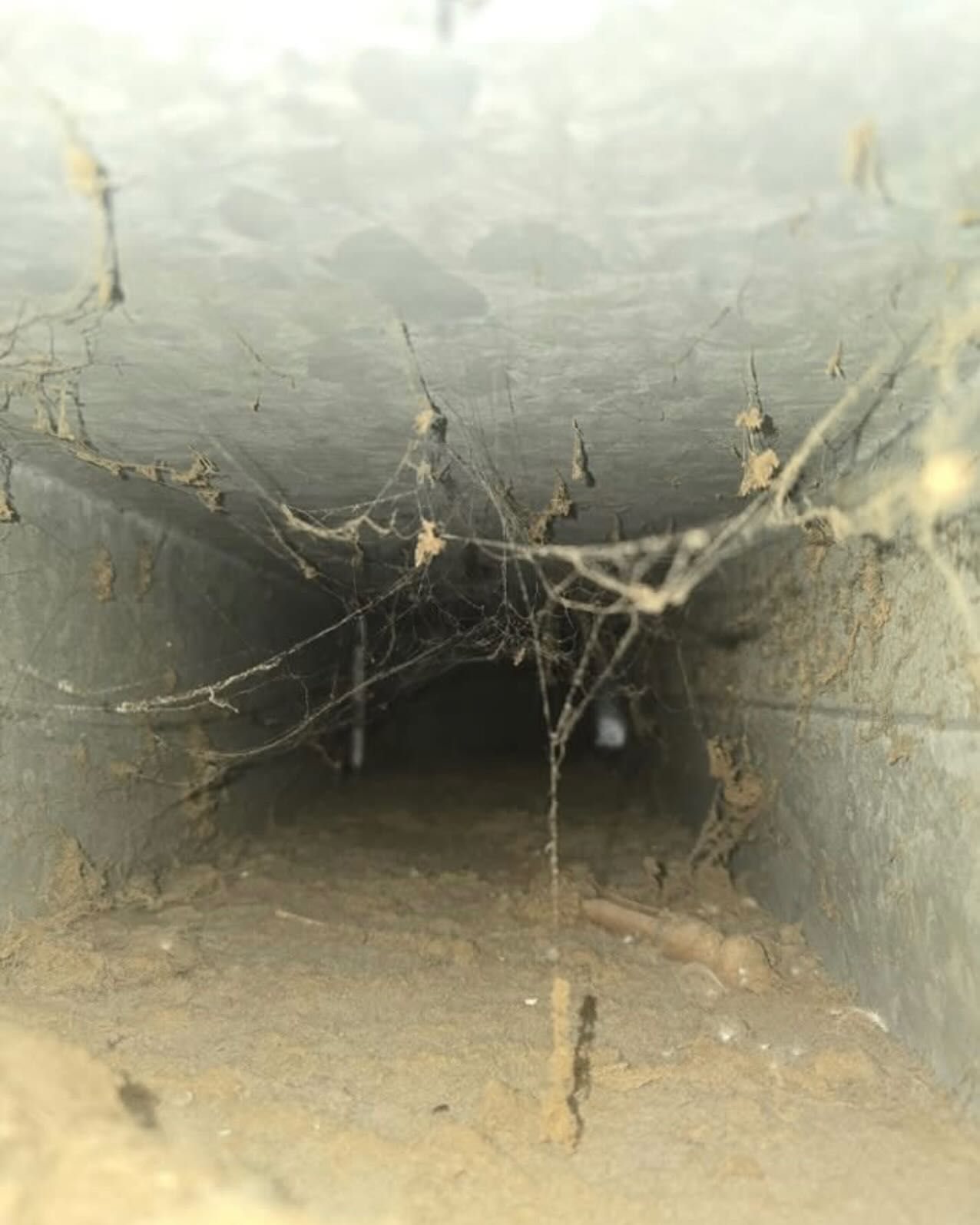 Cobwebs hanging inside a dark concrete tunnel with a dirt floor