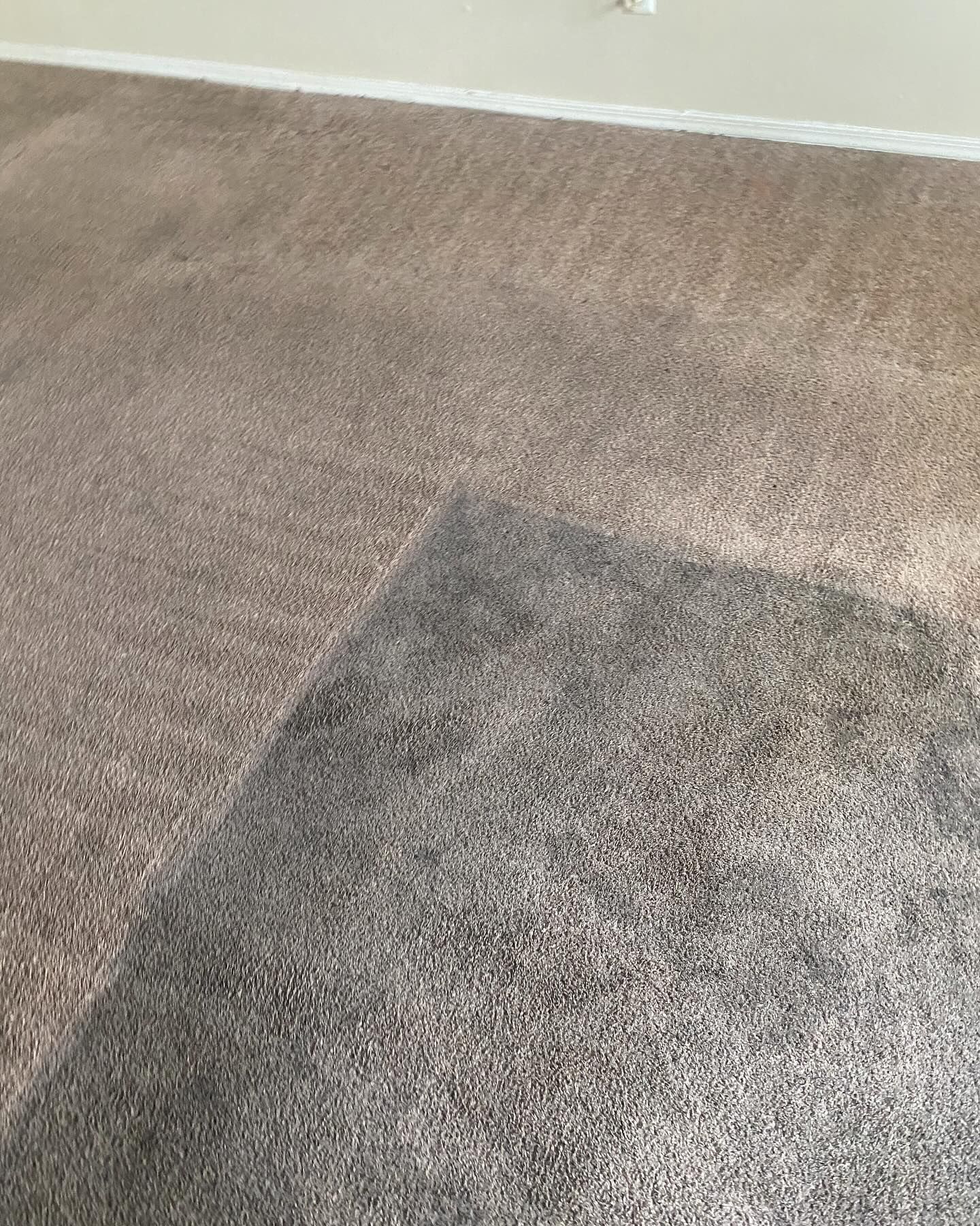 Brown carpet with a darker square patch near a white wall baseboard.