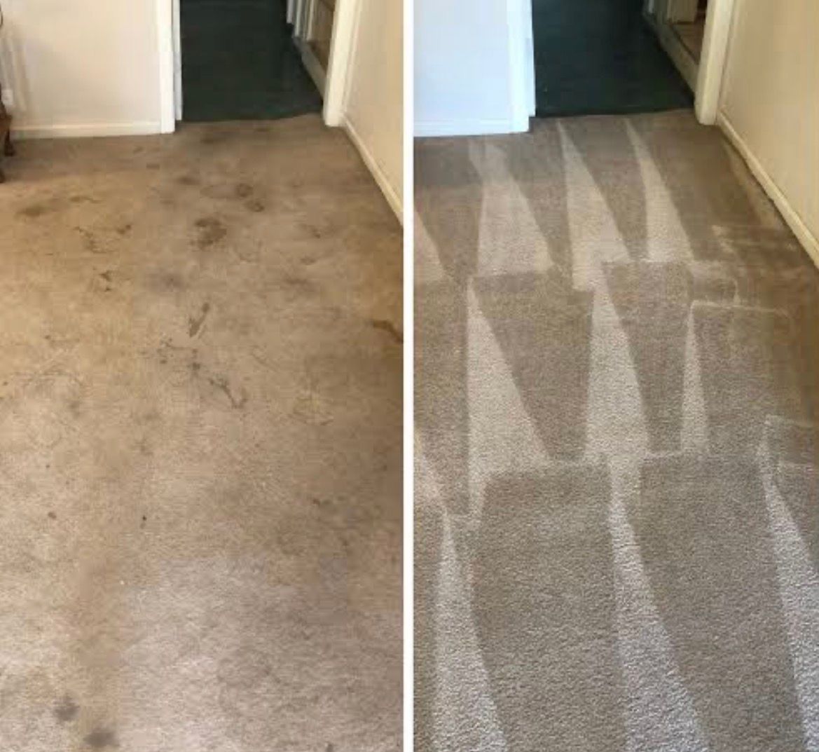 Dirty beige hallway carpet shown before and after cleaning, with visible stain removal and fresh vacuum lines.