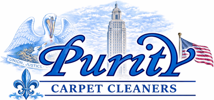 purity-carpet-cleaner-225-logo