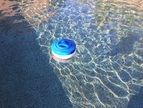 Picture of a pool cleaning supply of pool cleaning device that has chlorine tabs inside. This photo was taken in El Dorado Hills, Ca
