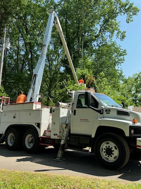 A tree has fallen on the roof of a house.