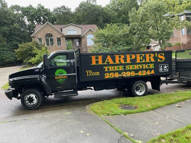 A person is cutting a tree branch with a chainsaw.