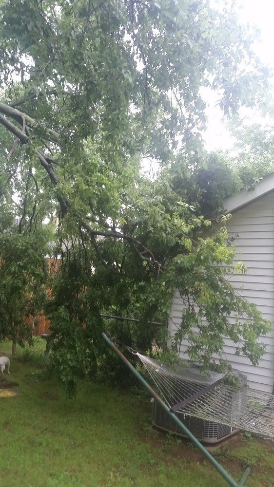 A tree has fallen on a fence in front of a house.