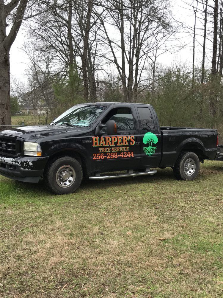 A black truck is parked in a grassy field.