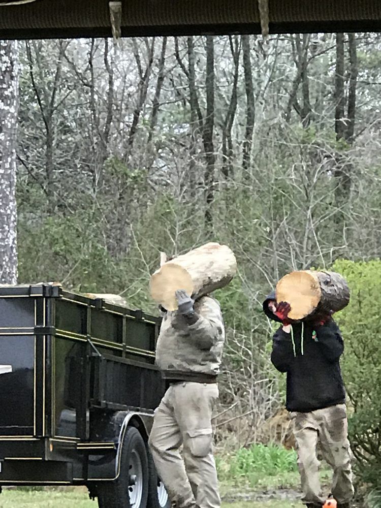 Two men are carrying logs on their shoulders in front of a trailer.