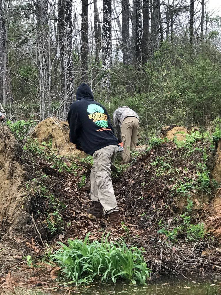 A group of people are climbing up a hill in the woods.