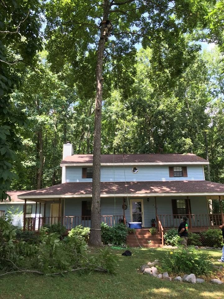A house with a porch and a tree in front of it