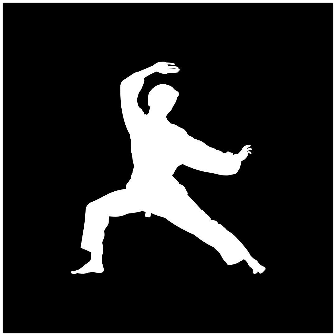 Personaltraining Kampfsport