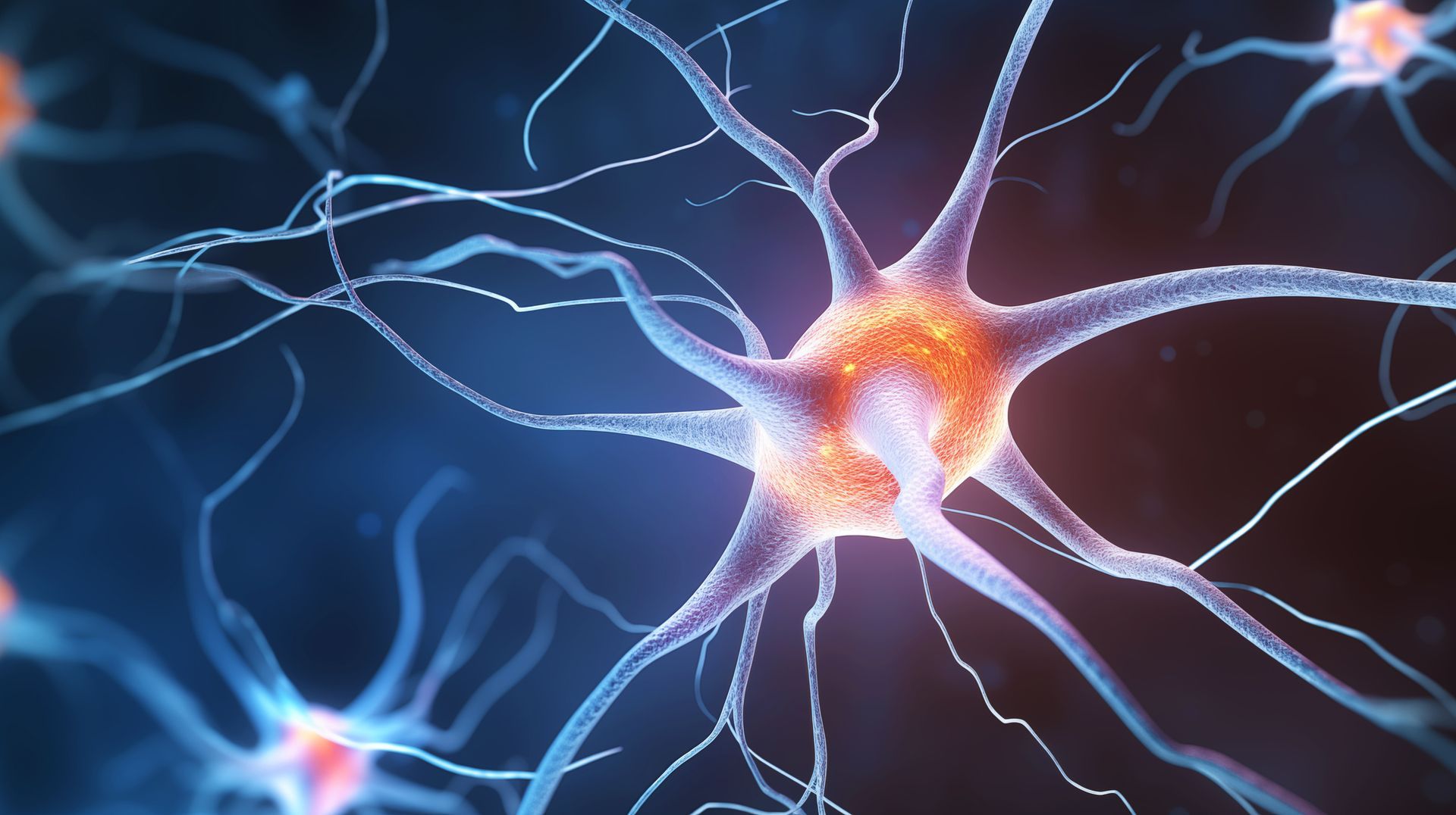 Vista ravvicinata di un neurone, con un corpo cellulare centrale arancione e viticci ramificati blu.