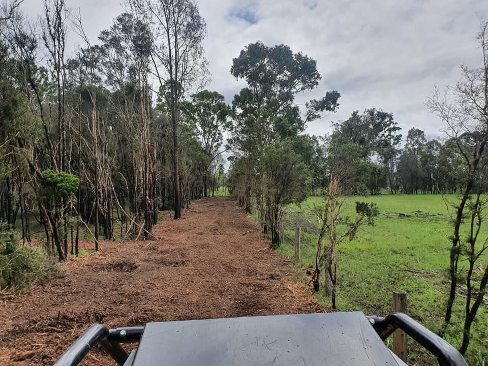 Maintaining Trees Through Mulching and Cleaning, Including Care for Fire-Damaged Trees — Land Management In Old Bar, NSW