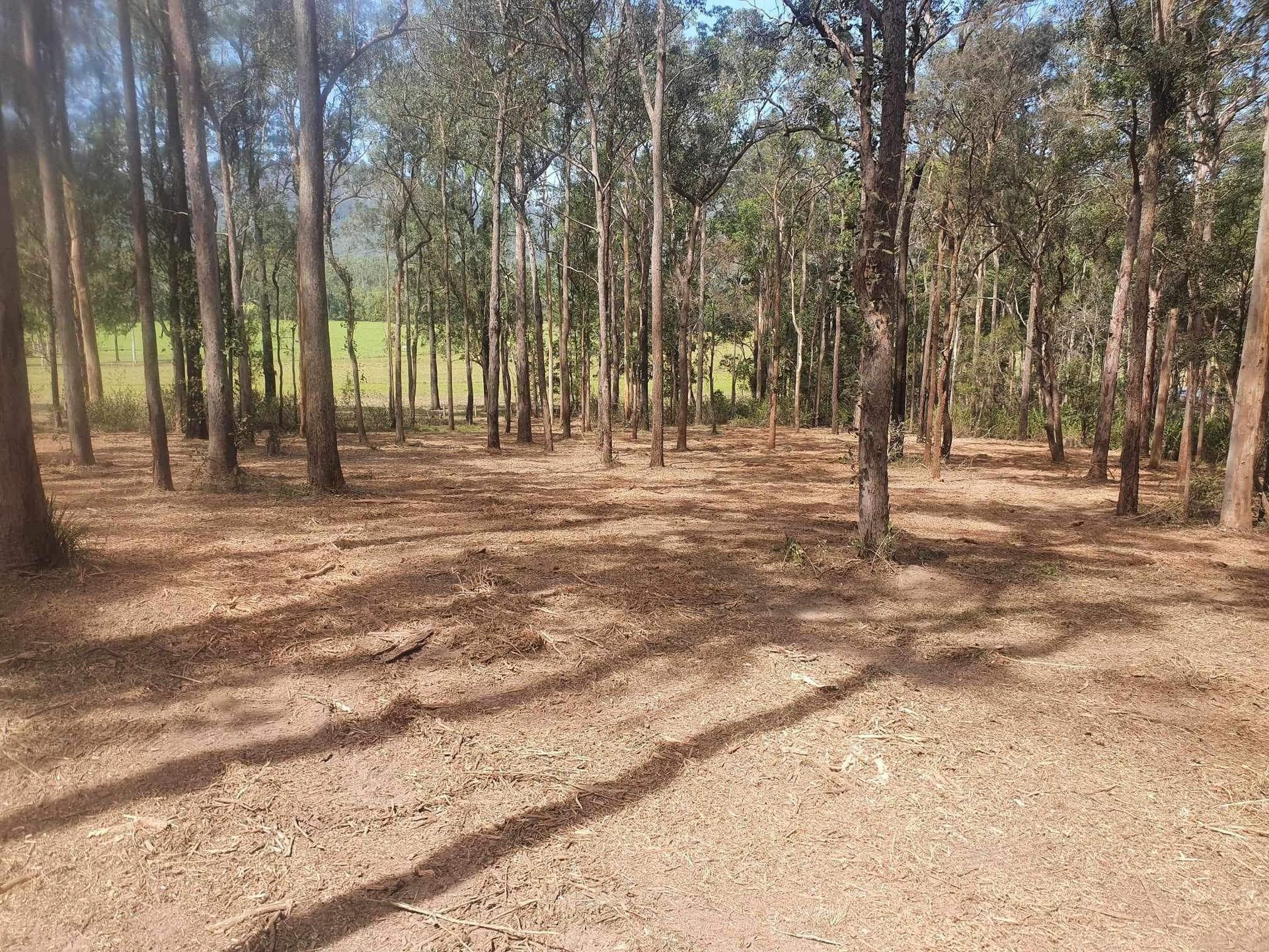 Clearing Brush With A Heavy Loader — Land Management In Old Bar, NSW