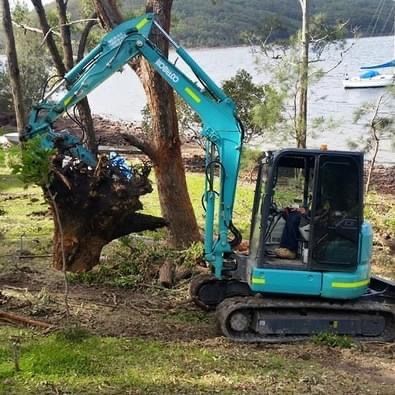 Post-tree-cutting chainsaw used for mulching and cleaning — Land Management In Old Bar, NSW