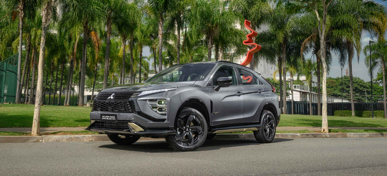SUV Mitsubishi cinza estacionado em uma rua asfaltada com palmeiras ao fundo.