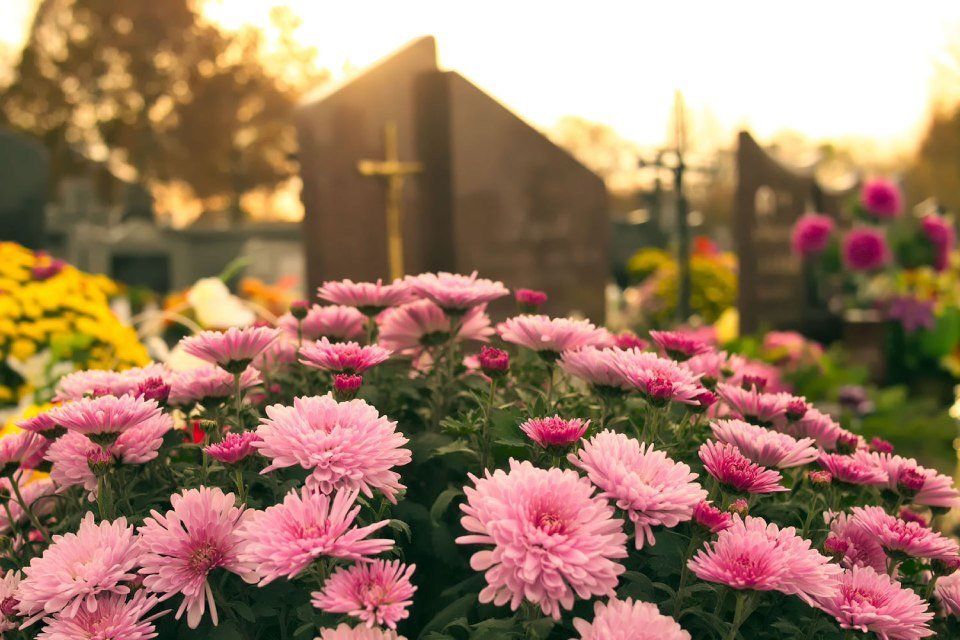 Fiori rosa al cimitero