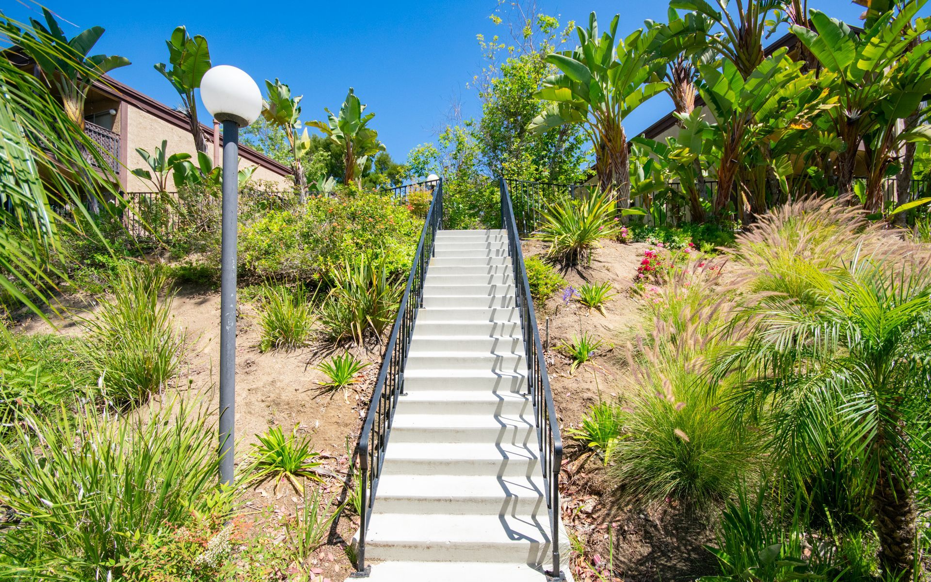 Staircase ascending a hillside, flanked by lush greenery and a lamp post under a bright blue sky at Cowles Landing, offering apartment living in San Diego, CA.