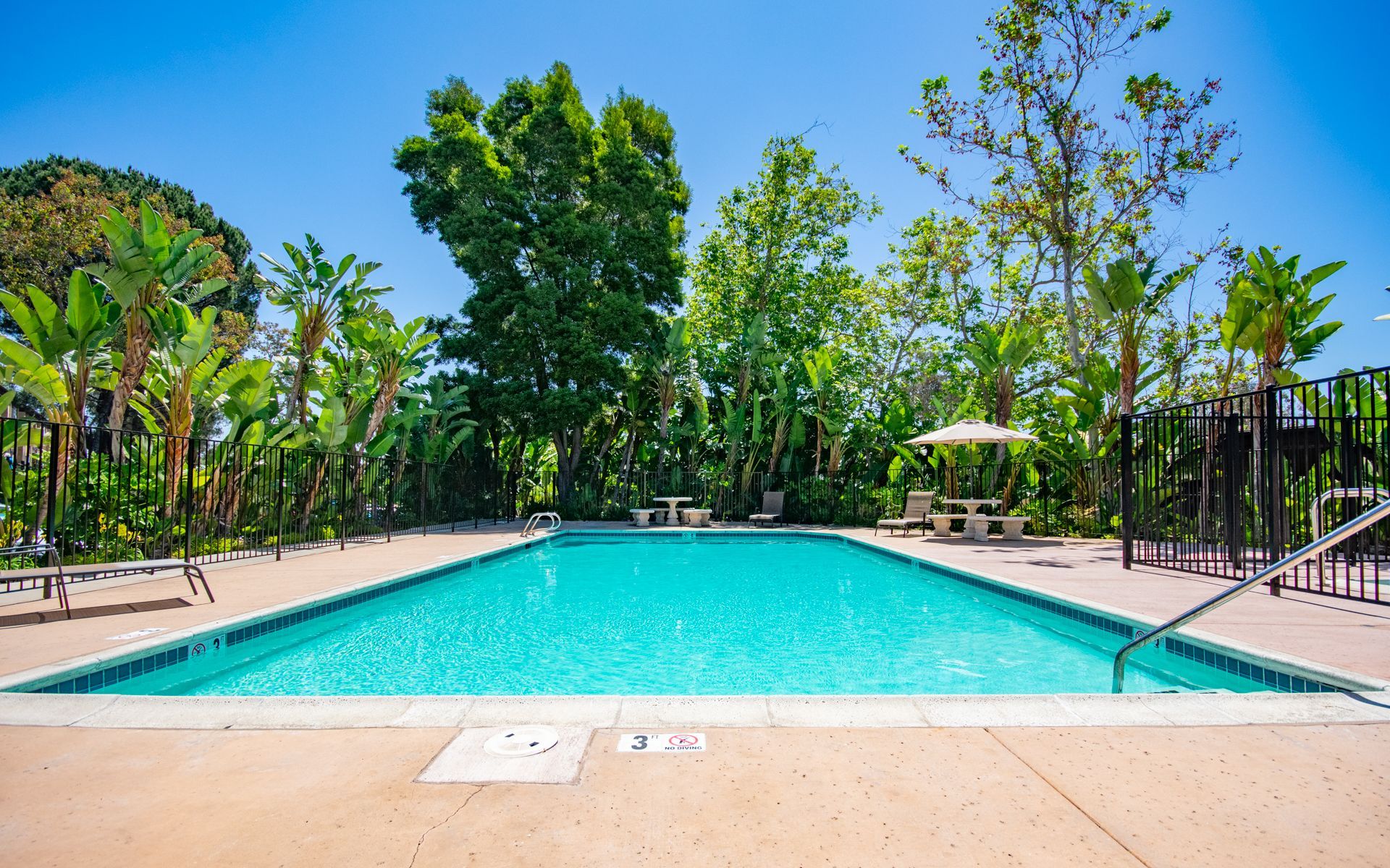 Swimming pool with clear blue water surrounded by concrete, trees, and a picnic table at Cowles Landing, offer apartments for rent in San Diego, CA.