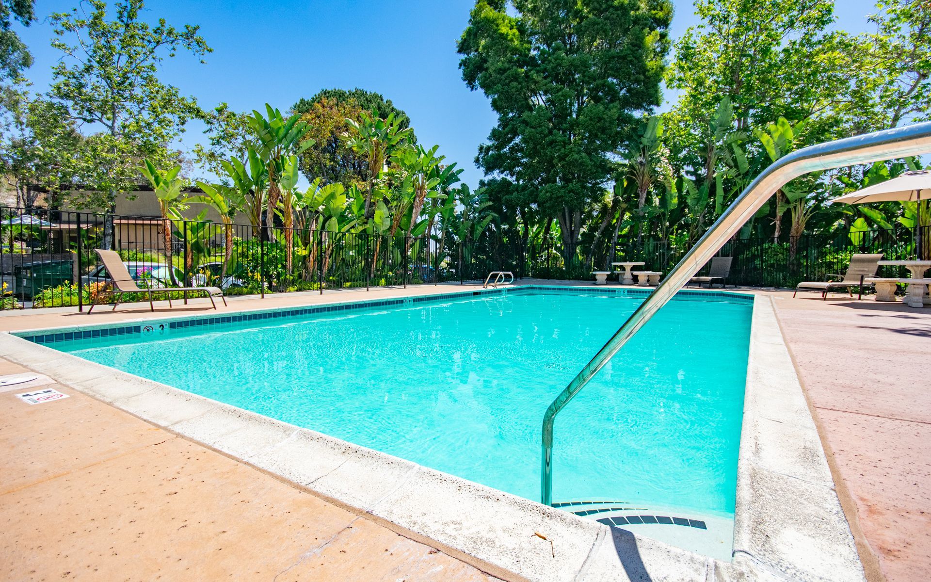 Swimming pool surrounded by concrete, handrail, and tropical plants under a blue sky at Cowles Landing in San Diego, CA.