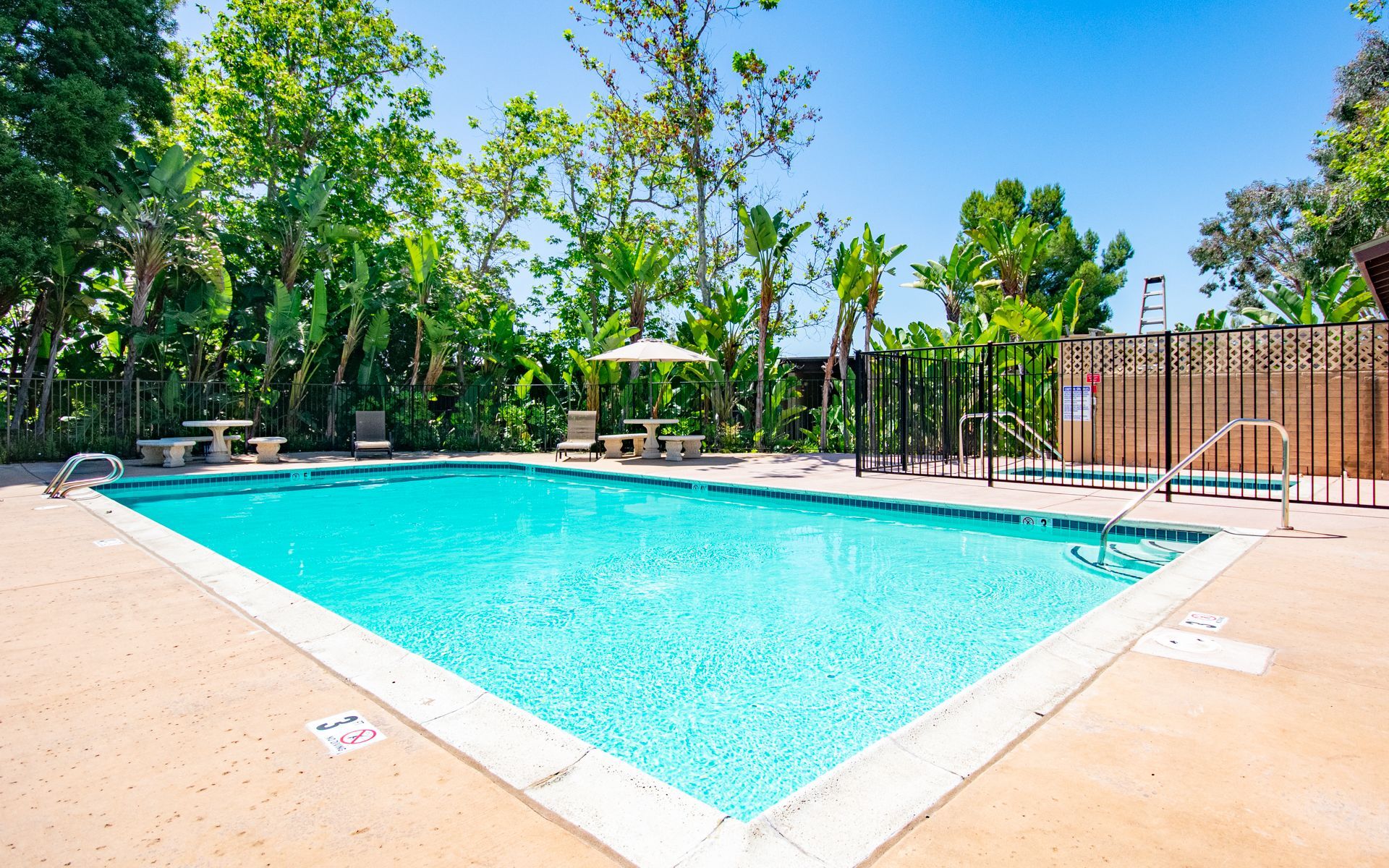 Bright blue swimming pool surrounded by a concrete deck, tables with umbrellas, and lush green trees under a clear sky at Cowles Landing, offer apartments in San Diego, CA.