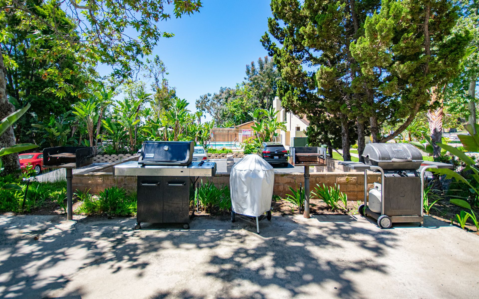 Several outdoor grills on a concrete surface, surrounded by greenery.