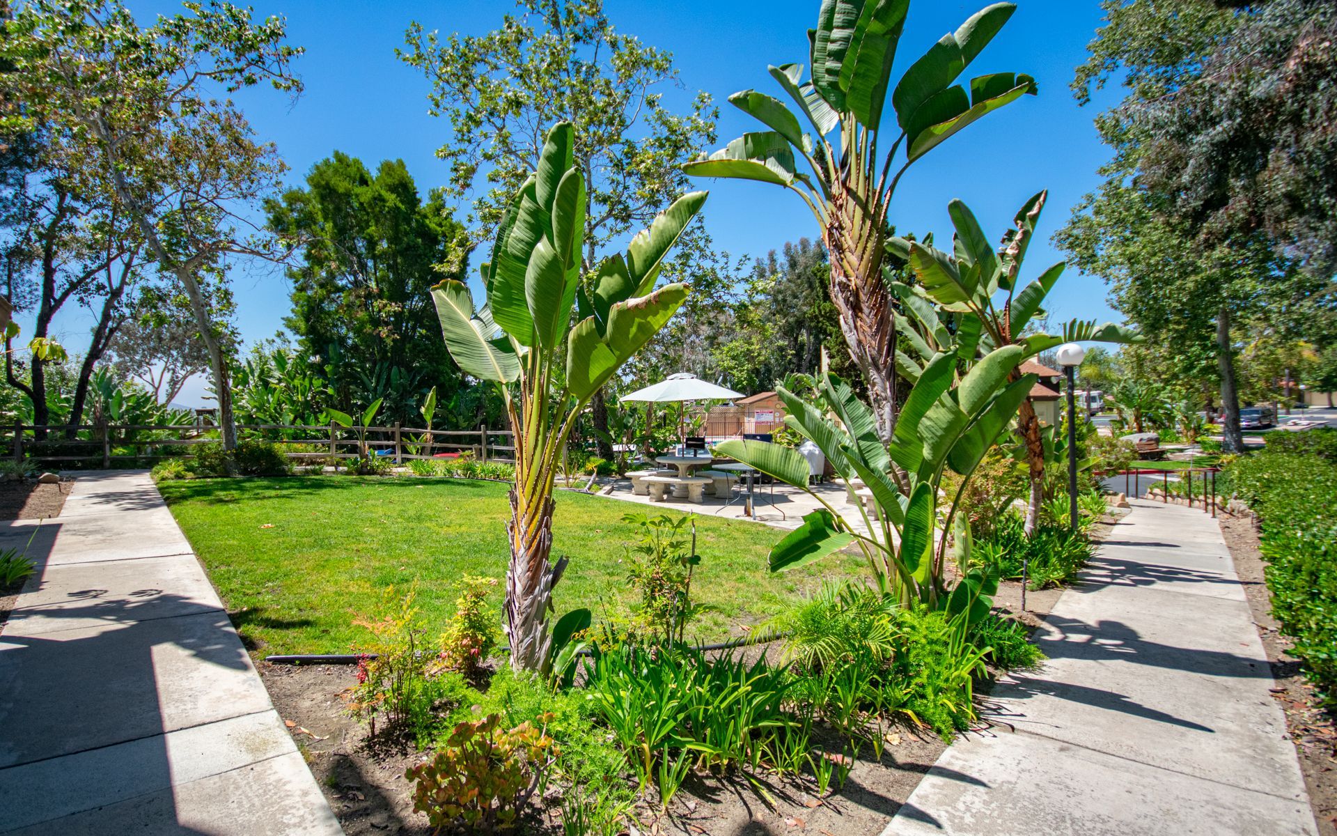 Green park with walkways, tropical plants, picnic table under umbrella, sunny day.