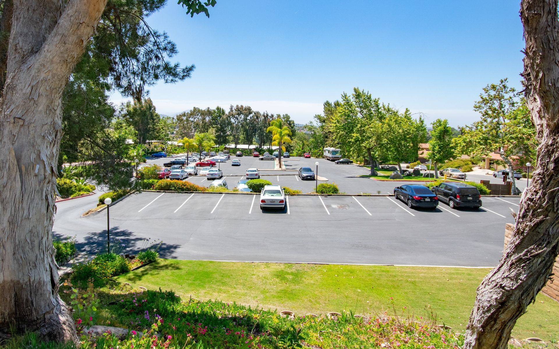 Parking lot with cars, surrounded by green grass, trees, and blue sky.