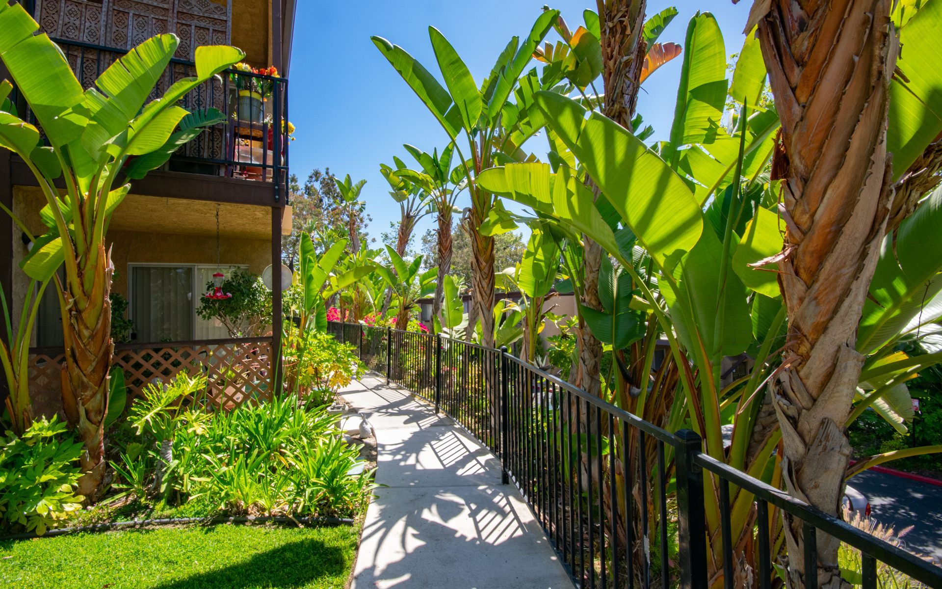 Pathway lined with lush tropical plants and a black railing, leading towards a building with balconies.