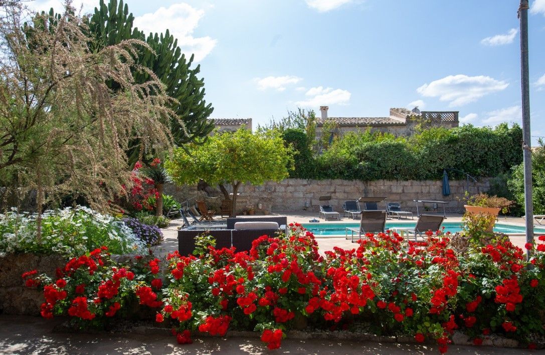 Una piscina rodeada de flores y árboles rojos.