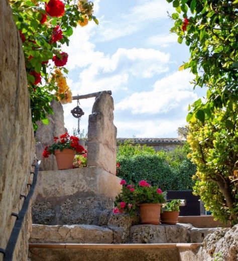 Una escalera de piedra con flores en macetas en los escalones.