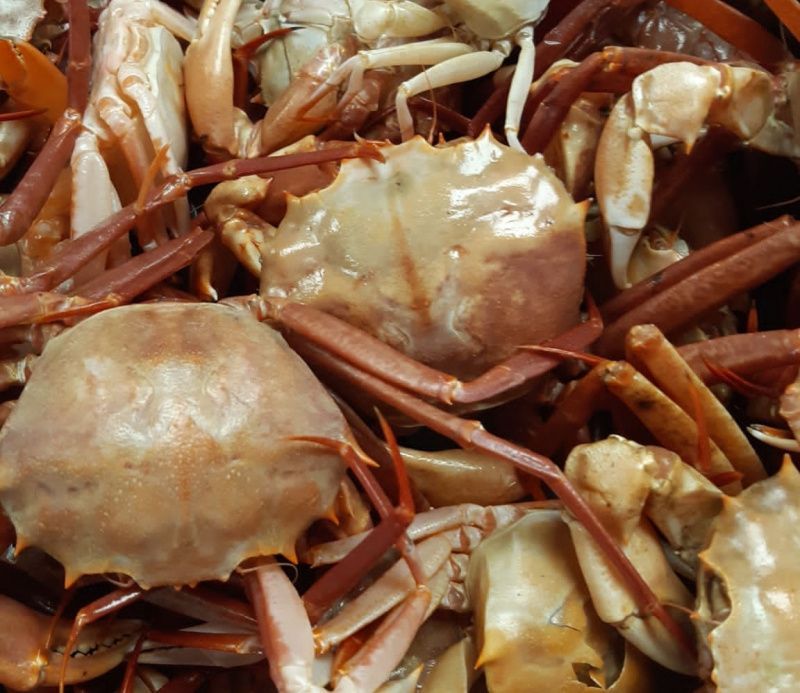 Cangrejos cocidos, principalmente de color beige y rojo, apilados, algunos con caparazones visibles.