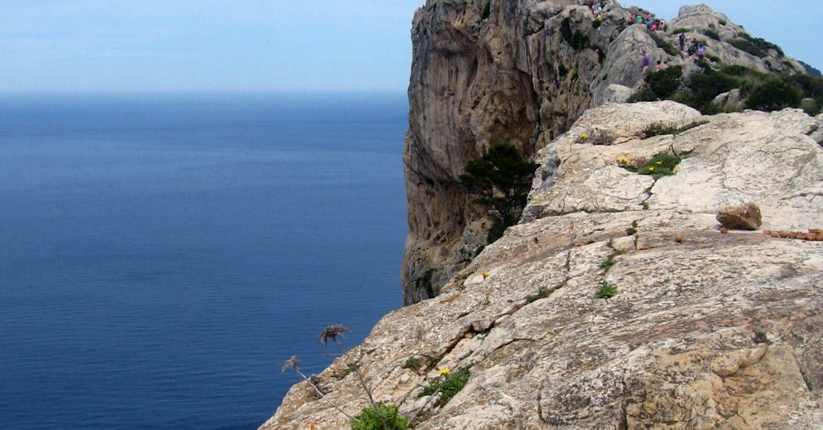 Un acantilado que domina el océano y un pájaro volando sobre él.