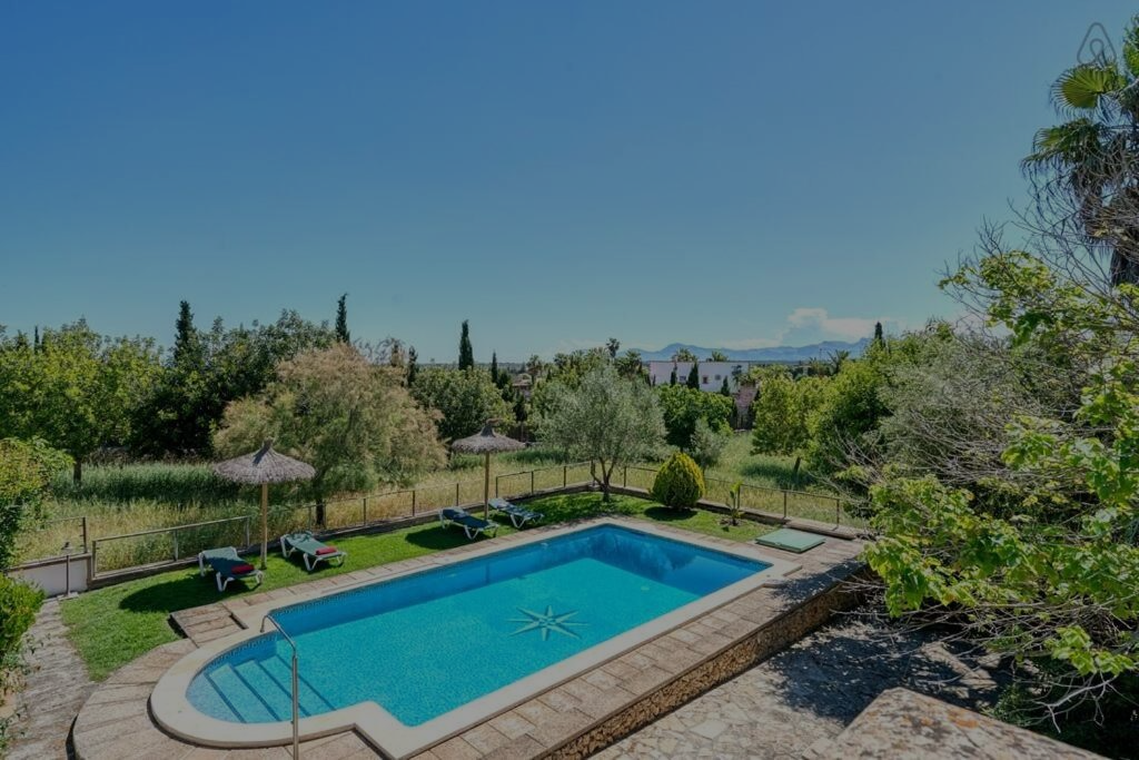 Piscina rodeada de césped verde, árboles y un cielo azul claro.