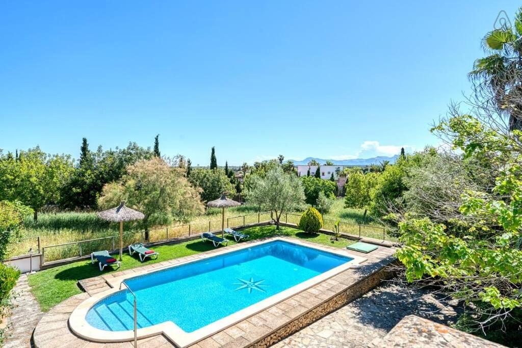 Piscina de agua azul rodeada de césped verde, árboles y un cielo azul claro.