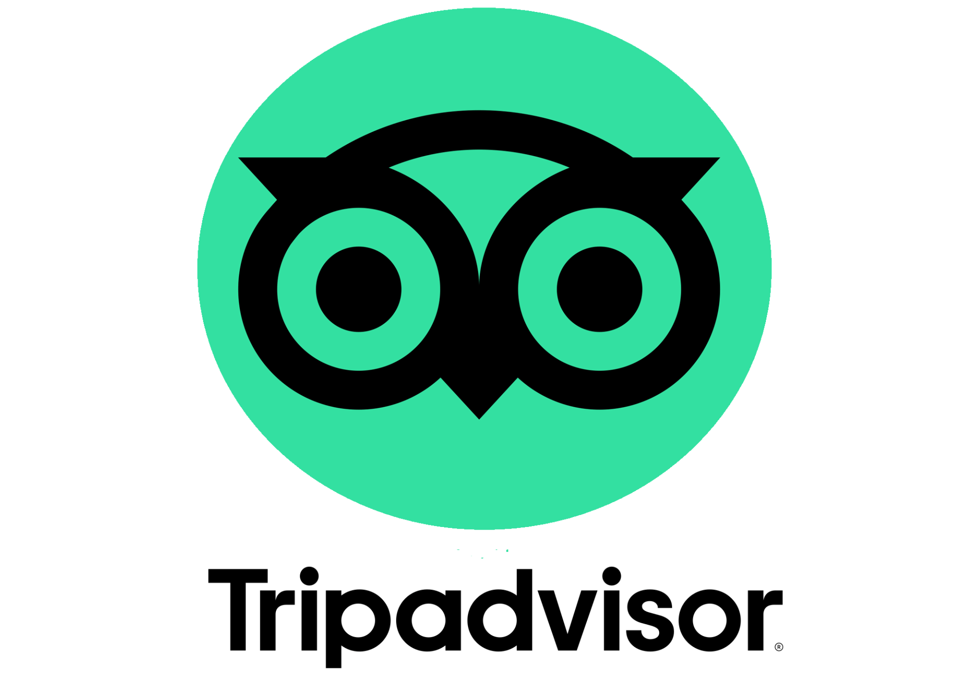Logotipo de Tripadvisor: ícono de búho dentro de un círculo verde azulado, texto negro debajo.