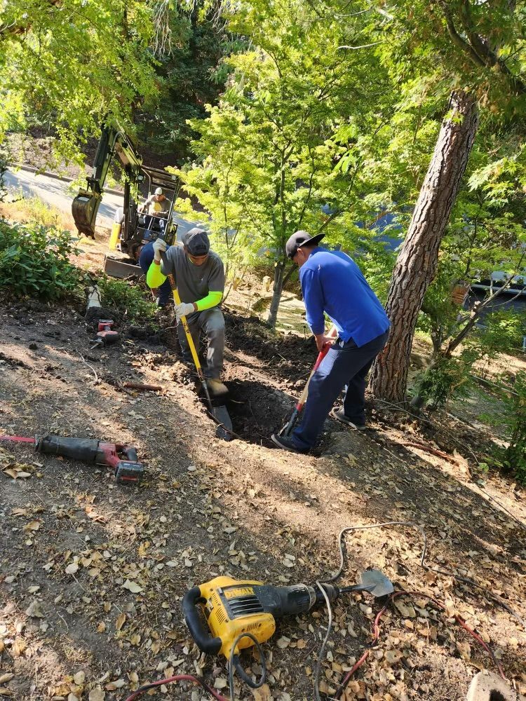 Sewer lateral storm drains replacement in Alamo, CA
