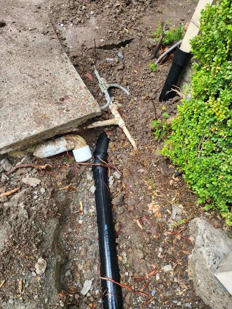 Sewer lateral storm drains replacement in Alamo, CA