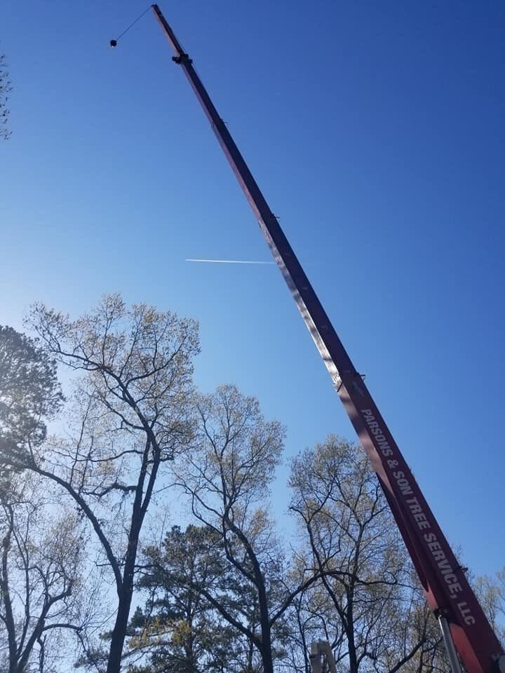 residential tree services, commercial tree services, parson and sons tree service, Arkansas tree services