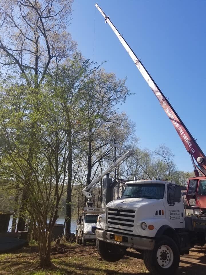 residential tree services, commercial tree services, parson and sons tree service, Arkansas tree services