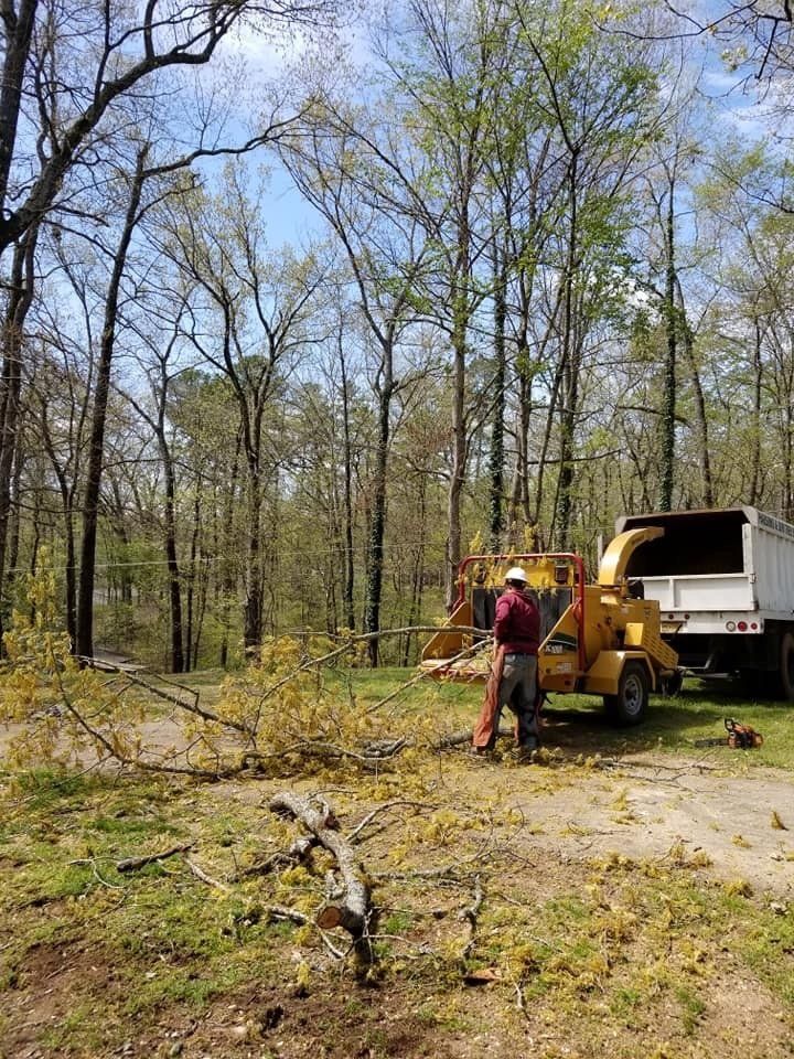 residential tree services, commercial tree services, parson and sons tree service, Arkansas tree services